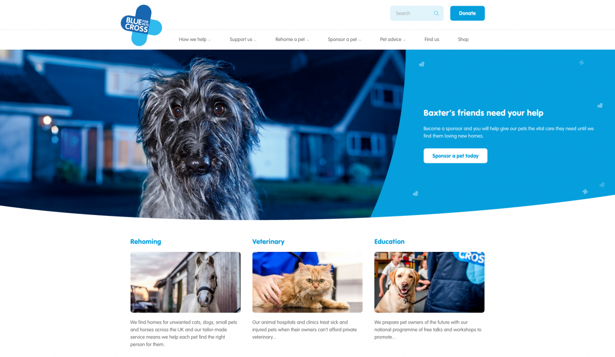 Blue Cross Homepage