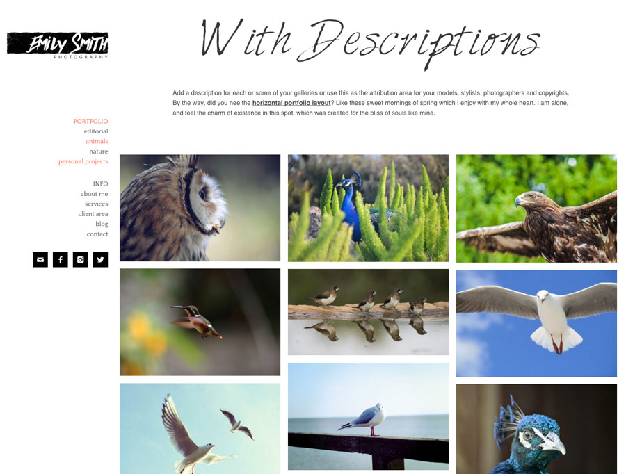 Wordpress Theme for Artists, Photographers and Painters