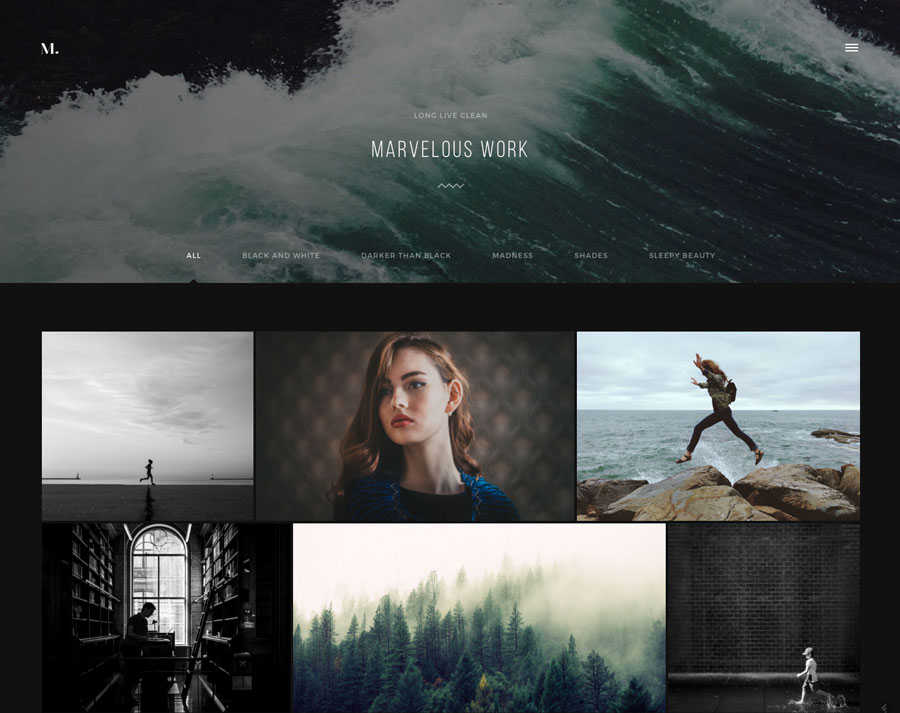 Wordpress Theme for Artists, Photographers and Painters