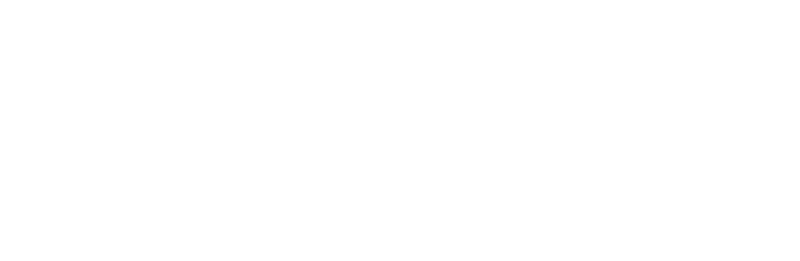 Greener Journeys Website Case Study
